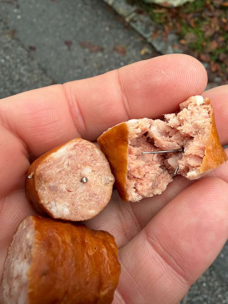 Giftköder-Mit Nägeln präparierte Wurststücke-Profilbild