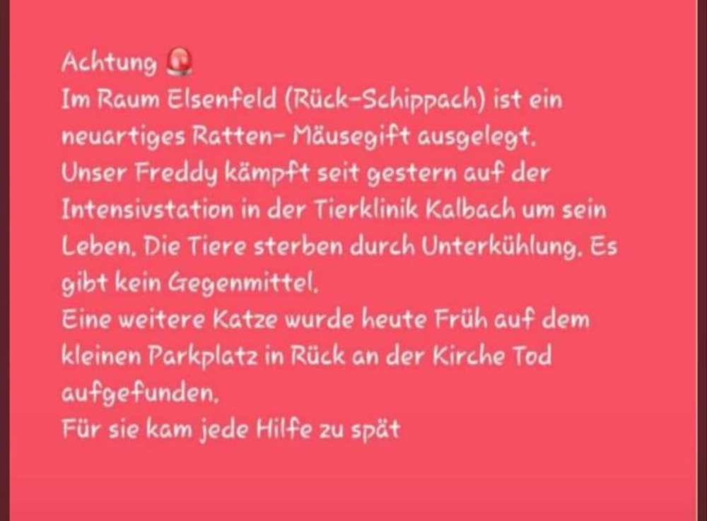 Giftköder-Rattengift-Profilbild