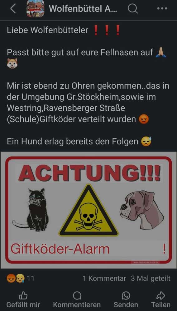 Giftköder-Giftköder-Profilbild