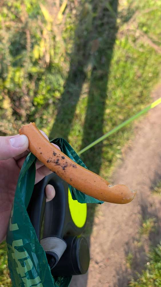 Giftköder-Giftköder-Profilbild