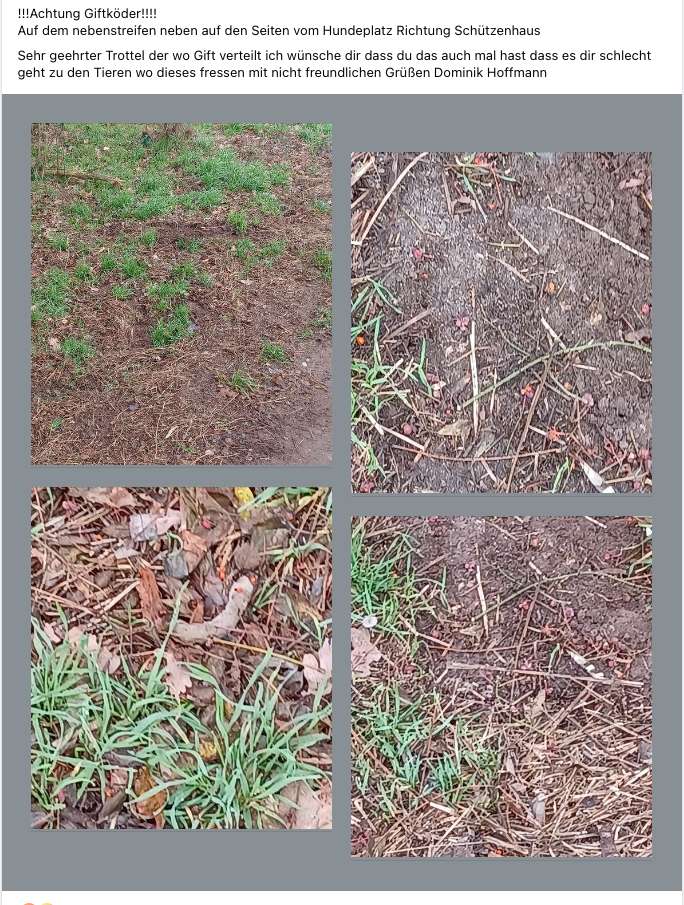 Giftköder-Möglicher Giftköder-Profilbild