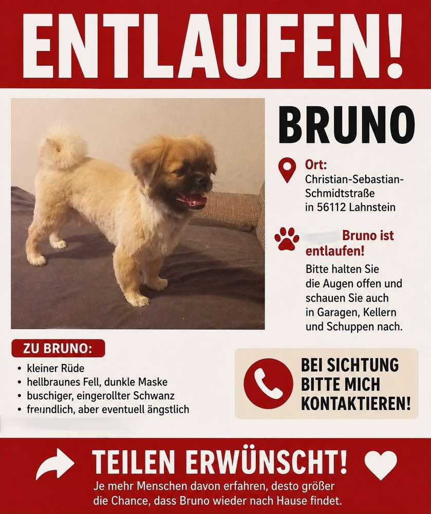Suchmeldung-Bruno -Profilbild