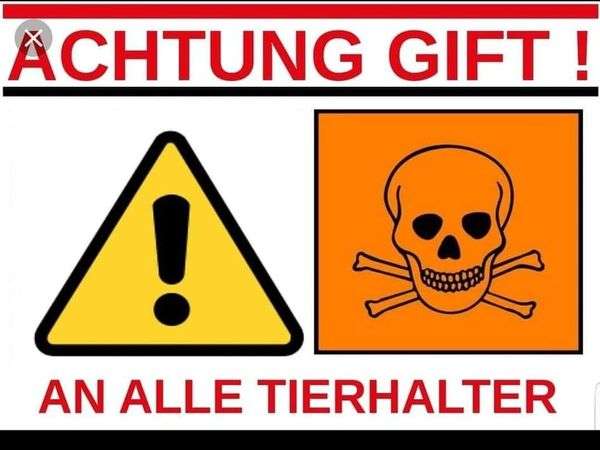 Giftköder-Giftköder-Profilbild