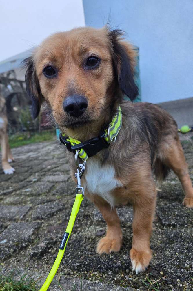 Suchmeldung-Anila-Profilbild