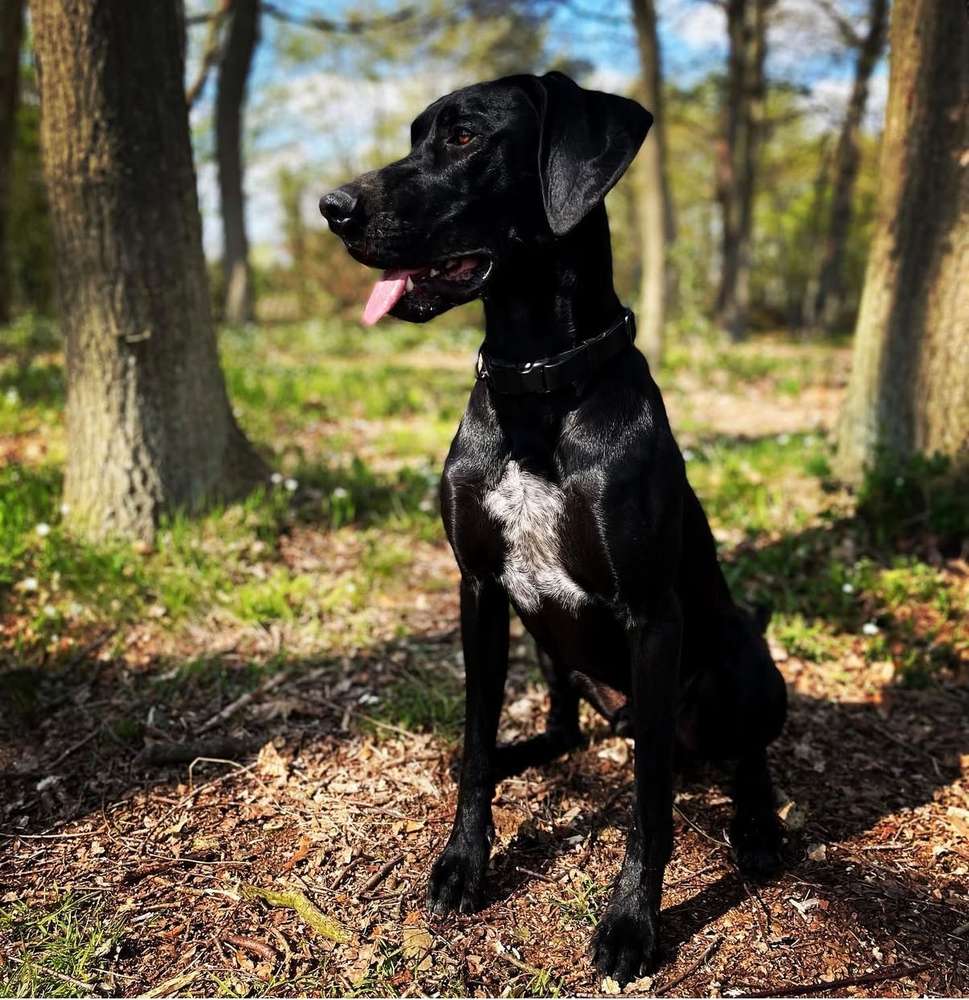 Suchmeldung-Slow Moe-Profilbild