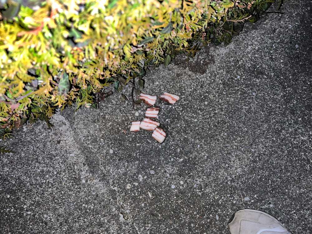 Giftköder-Giftköder (potenzielle)-Profilbild