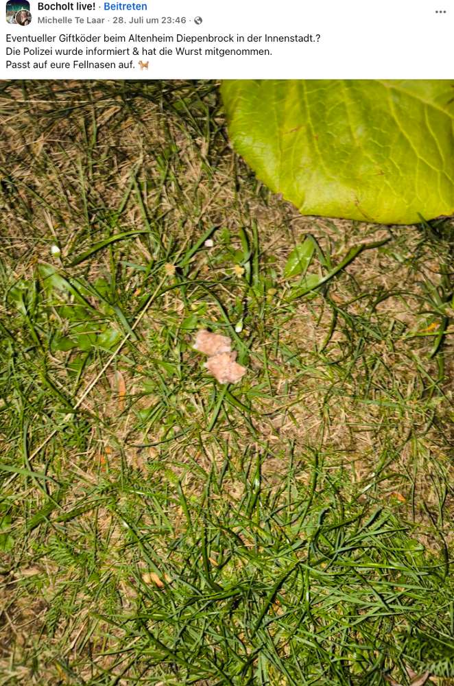 Giftköder-Giftköder-Profilbild