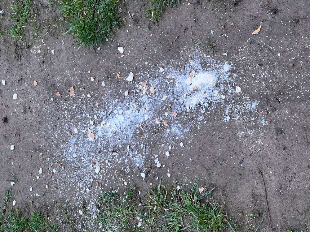 Giftköder-Achtung Giftköder-Profilbild