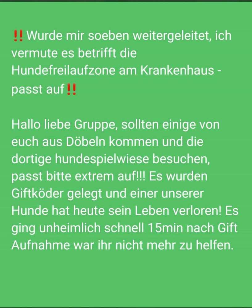 Giftköder-Giftköder-Profilbild