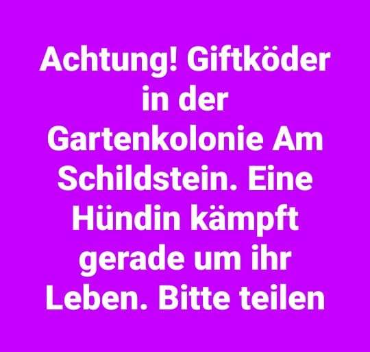 Giftköder-Giftköder-Profilbild