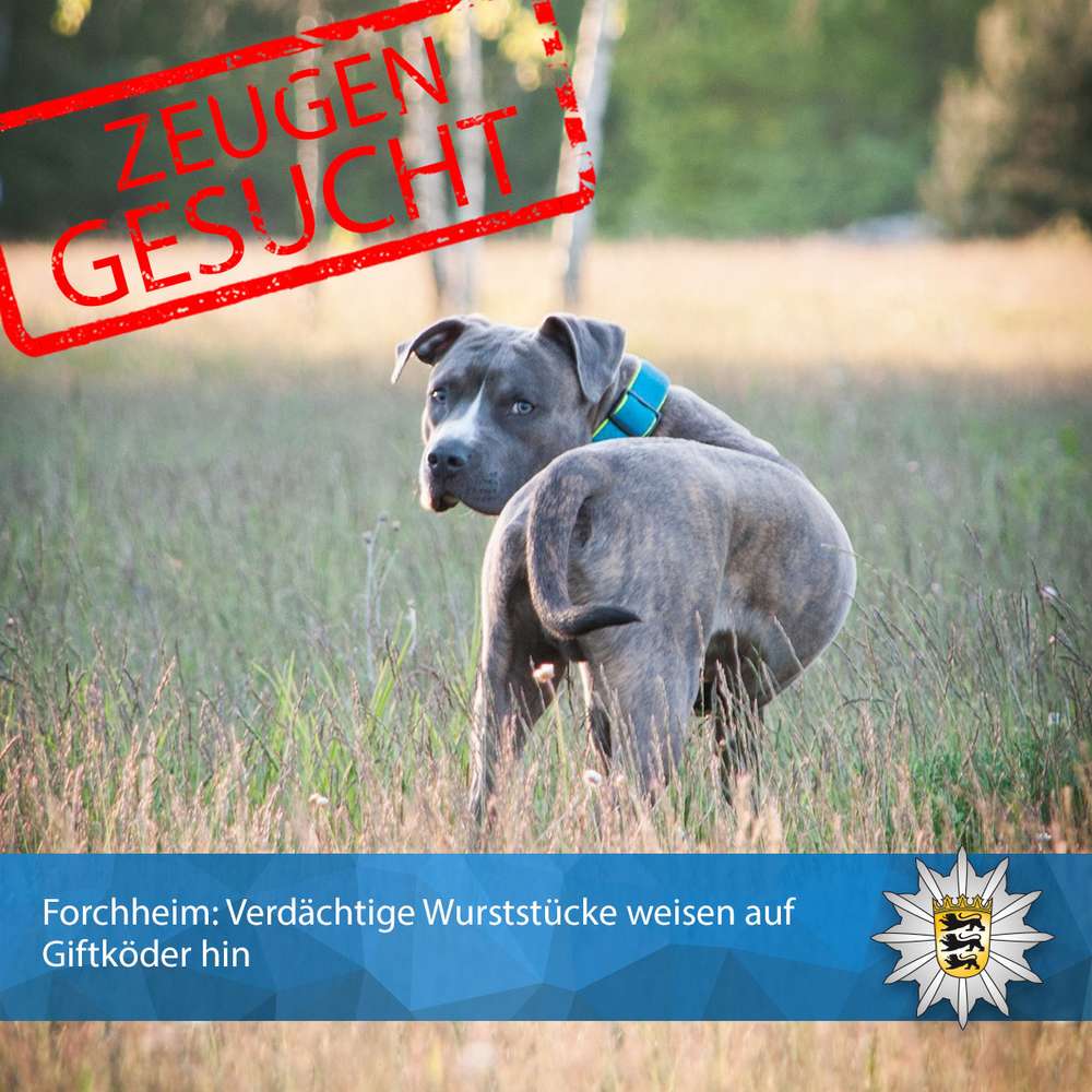 Giftköder-Verdächtige Wurststücke weisen auf Giftköder hin - Polizei warnt-Profilbild