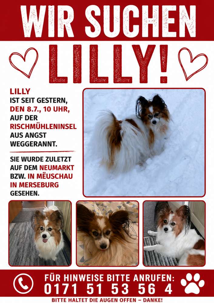 Suchmeldung-Lilly-Profilbild