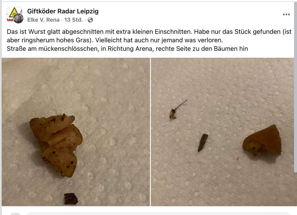 Giftköder-Giftköder-Profilbild