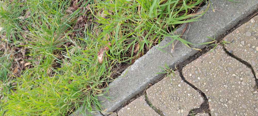 Giftköder-Giftköderverdacht-Profilbild