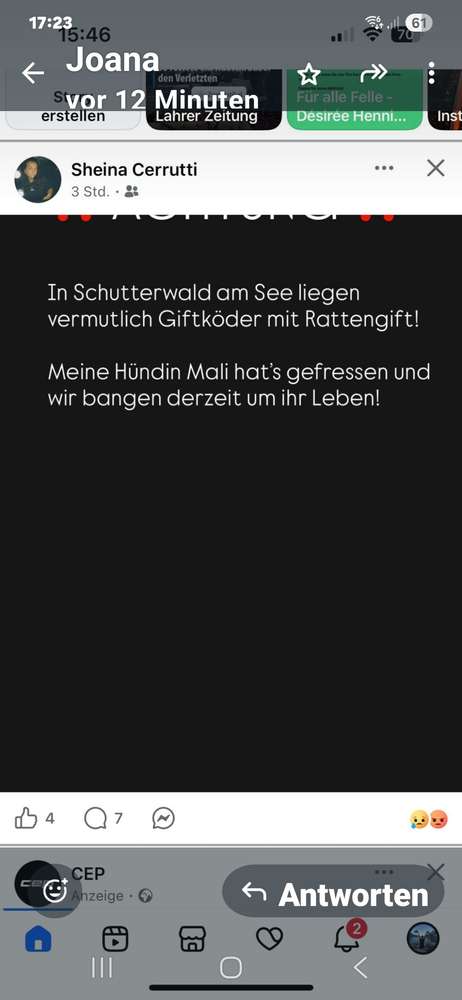 Giftköder-Giftköder am See-Profilbild