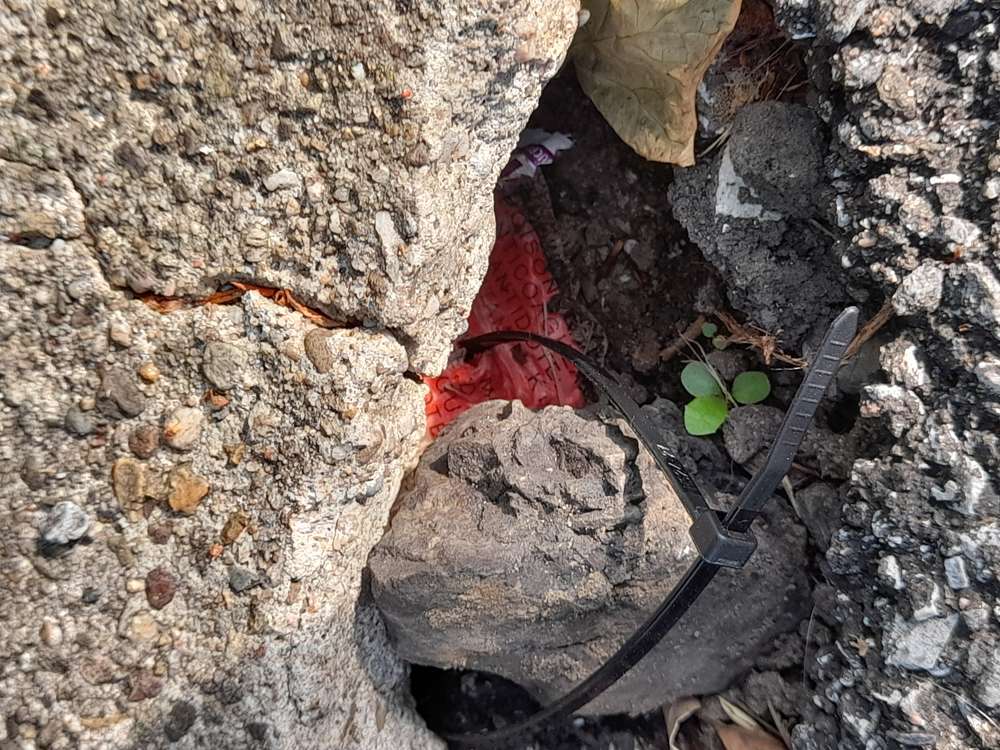 Giftköder-Rattengiftköder-Profilbild