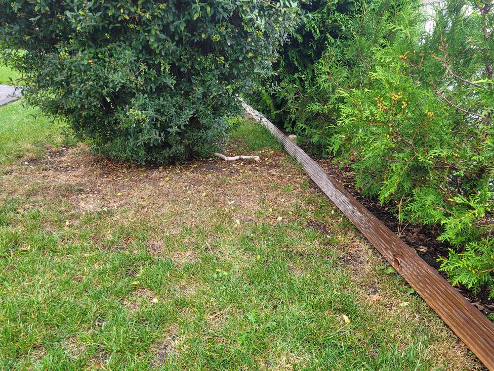 Giftköder-Wurst, eventuell Giftköder-Profilbild