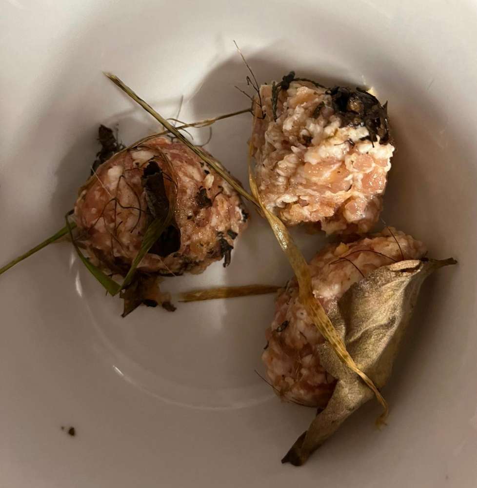 Giftköder-Giftköder -Profilbild