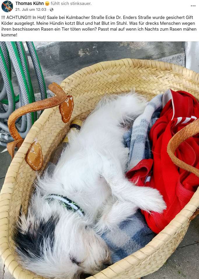 Giftköder-Warnung: Giftköder-Profilbild