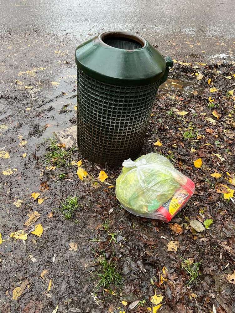 Giftköder-Tüte mit Rattengiftverpackung-Profilbild