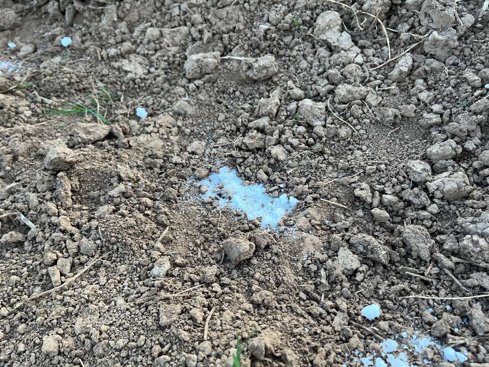 Giftköder-Giftiges Pulver im Acker nähe Wegrand-Profilbild