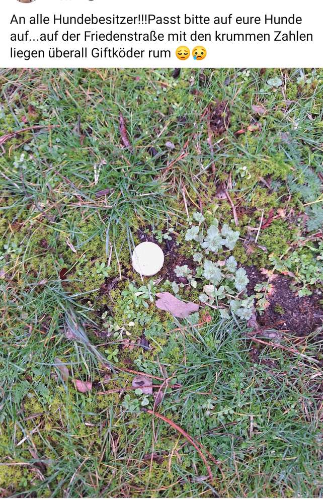 Giftköder-Wurst/Fleischstücke -Profilbild