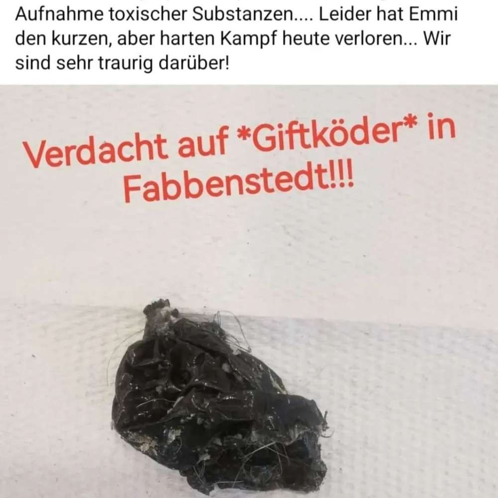 Giftköder-Giftköder-Profilbild