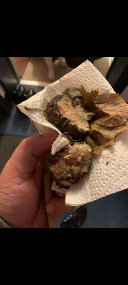 Giftköder-Giftköder-Profilbild