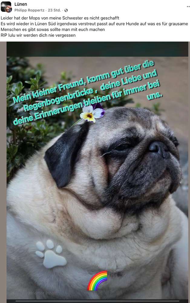 Giftköder-Trauriger Verdacht: Giftköder in Lünen-Süd – Hund verstorben-Profilbild