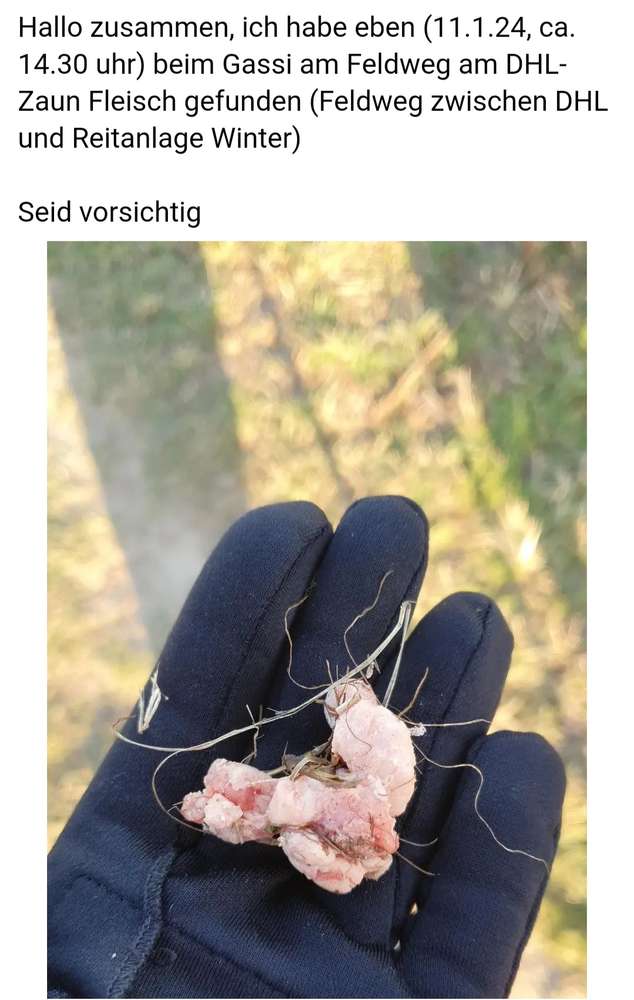 Giftköder-Rohes Fleisch-Profilbild