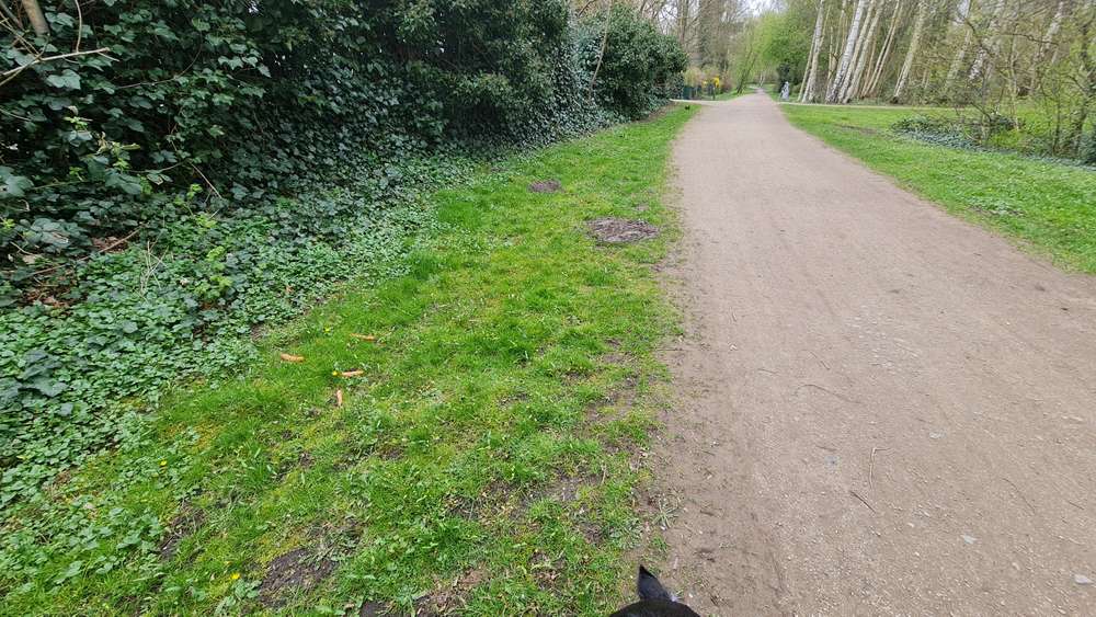 Giftköder-Eventueller Giftköder-Profilbild