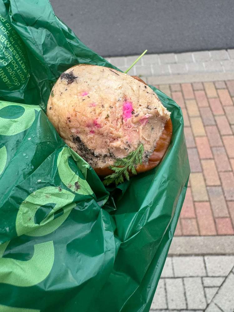 Giftköder-Giftköder-Profilbild