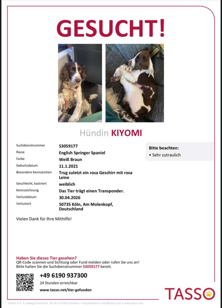 Suchmeldung-Kiyomi-Profilbild