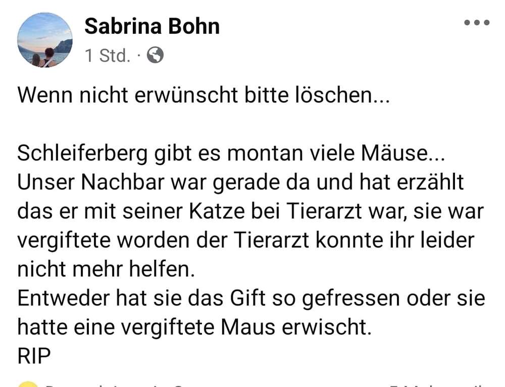 Giftköder-Giftköder-Profilbild