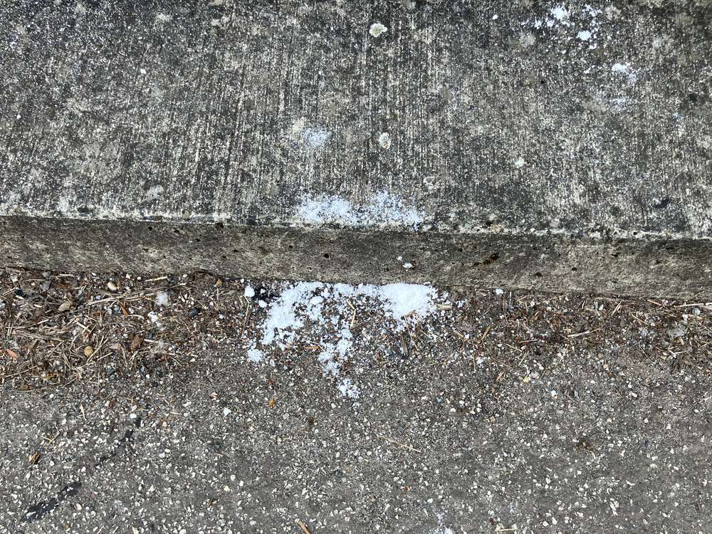 Giftköder-Weißes Pulver auf Brücke über dem Fluß Mittelriede -Profilbild