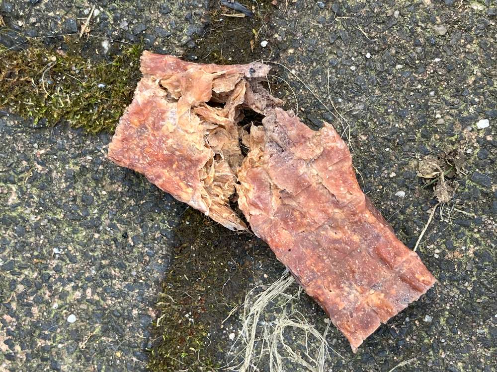 Giftköder-Giftköder-Profilbild