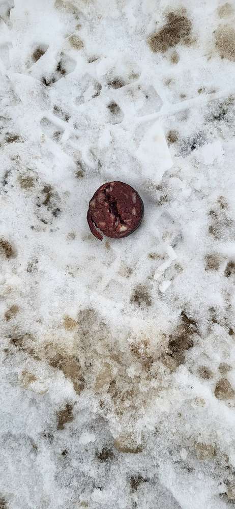 Giftköder-Wurst // Giftköder-Profilbild