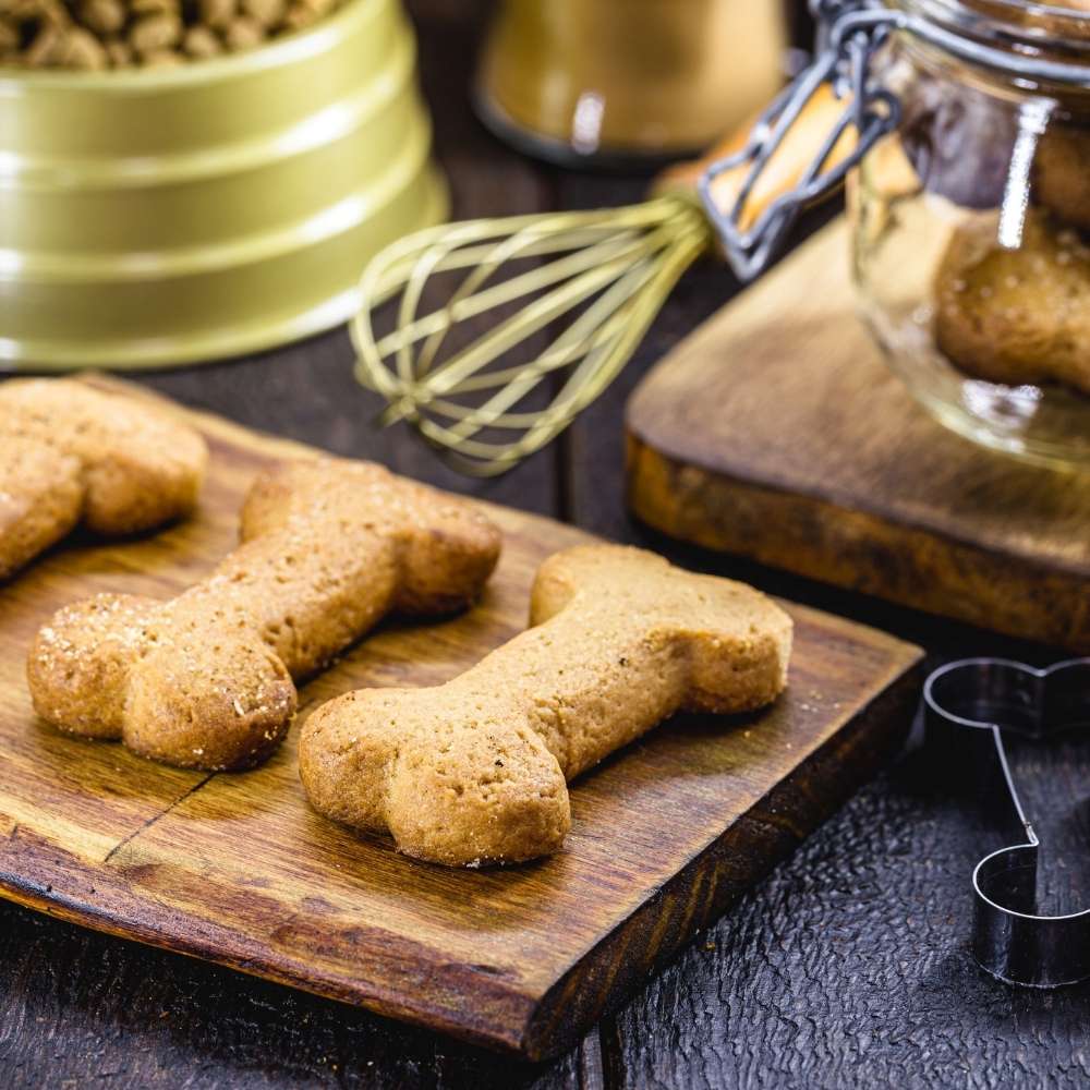 Profilbild Backen für Hunde