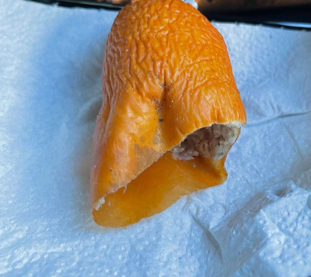 Giftköder-Giftköder-Profilbild