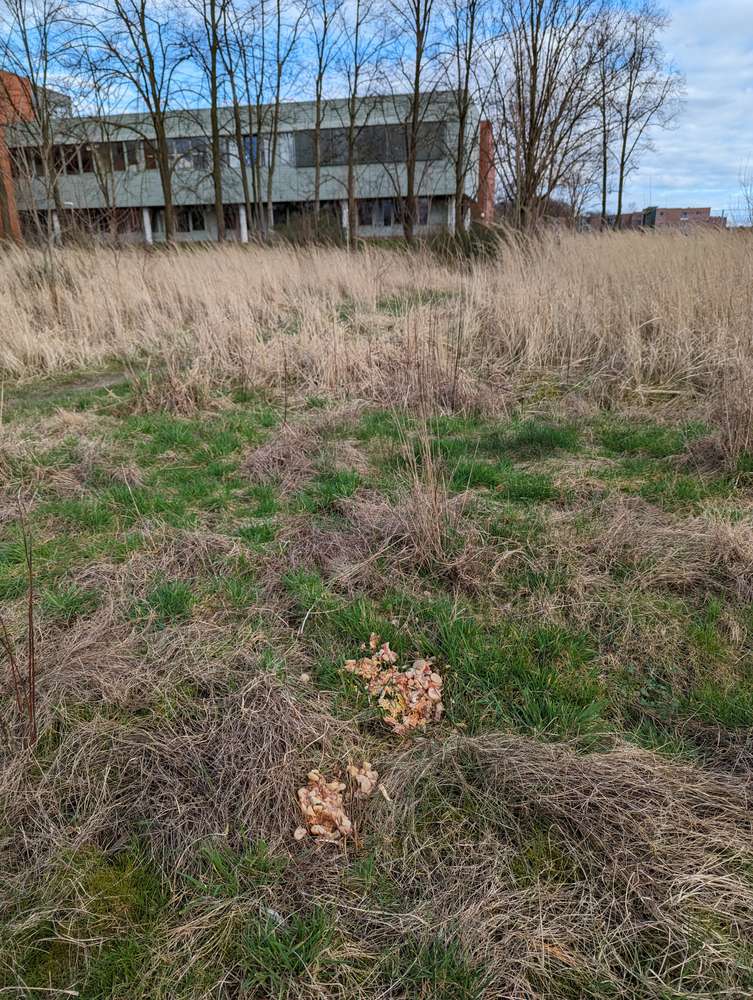 Giftköder-Essensreste gekocht-Profilbild