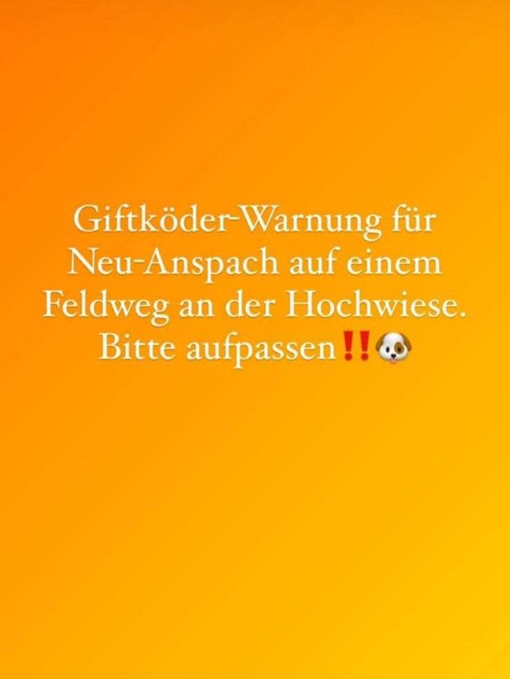 Giftköder-Giftköder-Profilbild