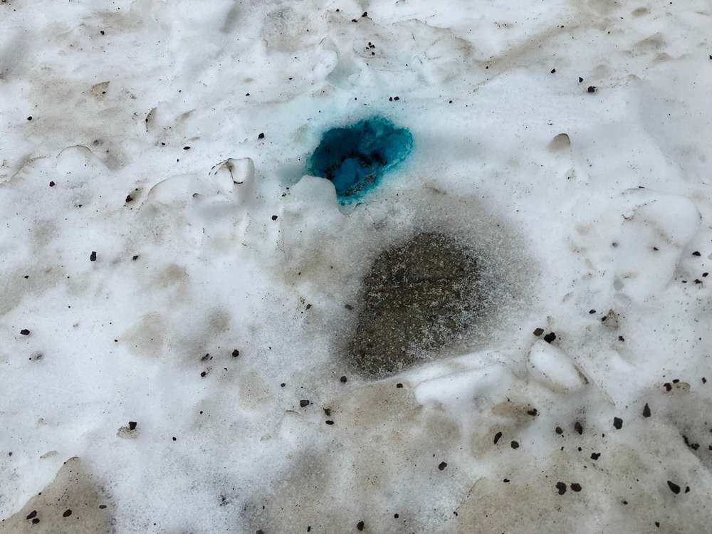 Giftköder-?Rattengift? Beethovenstraße / Franz-List-Straße / Mendelssohnstraße-Profilbild