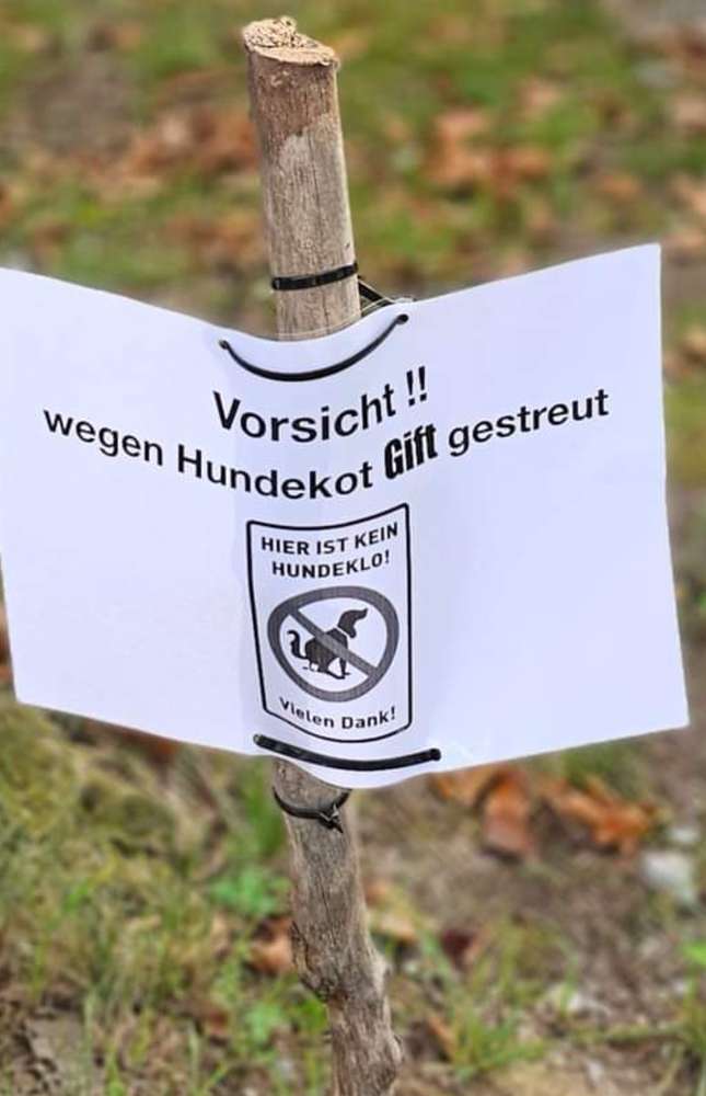 Giftköder-Giftköder-Profilbild