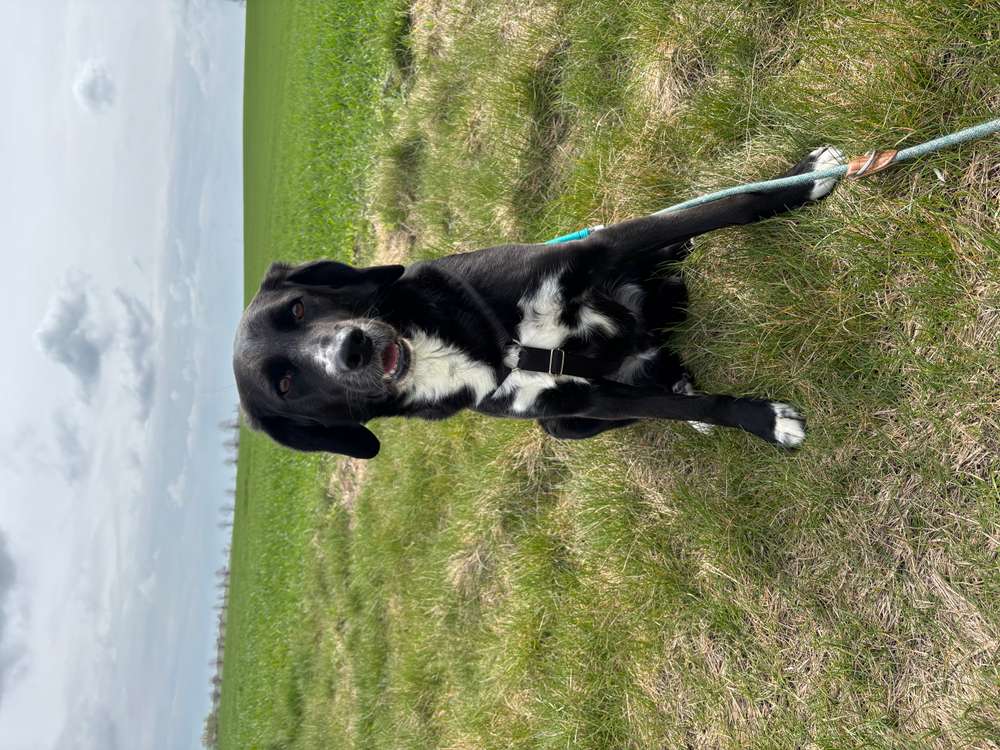 Suchmeldung-Orion-Profilbild