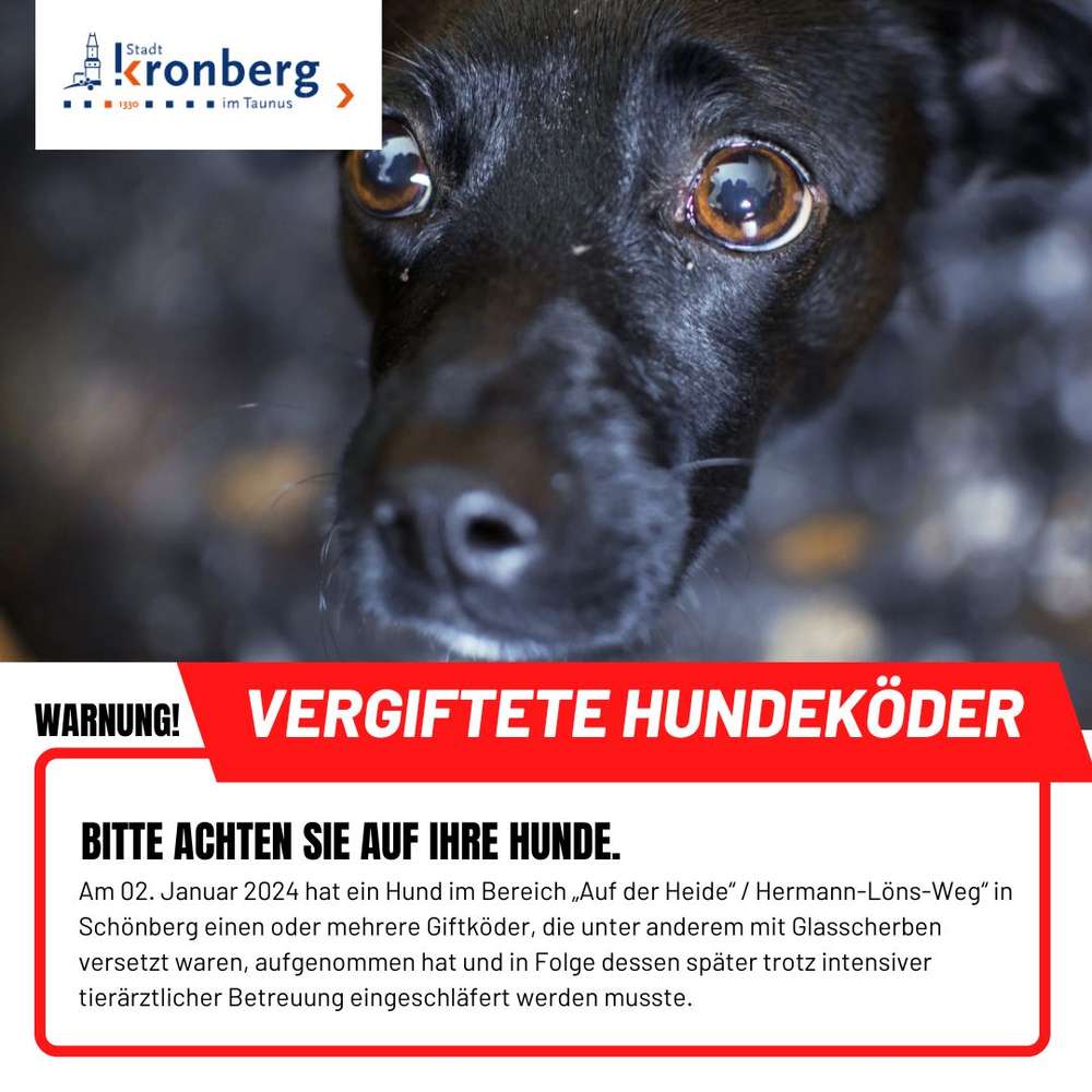 Giftköder-Vergiftete Hundeköder-Profilbild