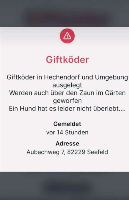 Giftköder-Giftköder-Profilbild