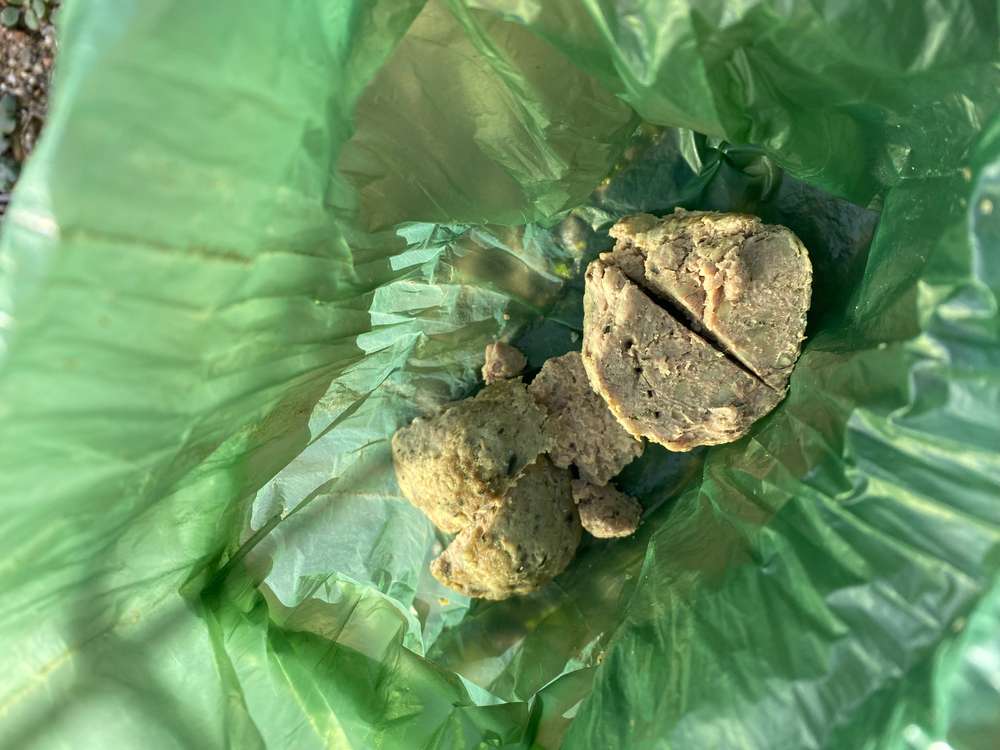 Giftköder-Knödel aus Leberwurst (Giftköder mögl)-Profilbild