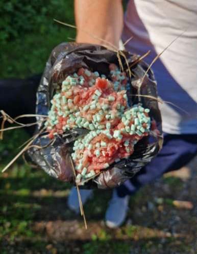 Giftköder-Giftköder-Profilbild