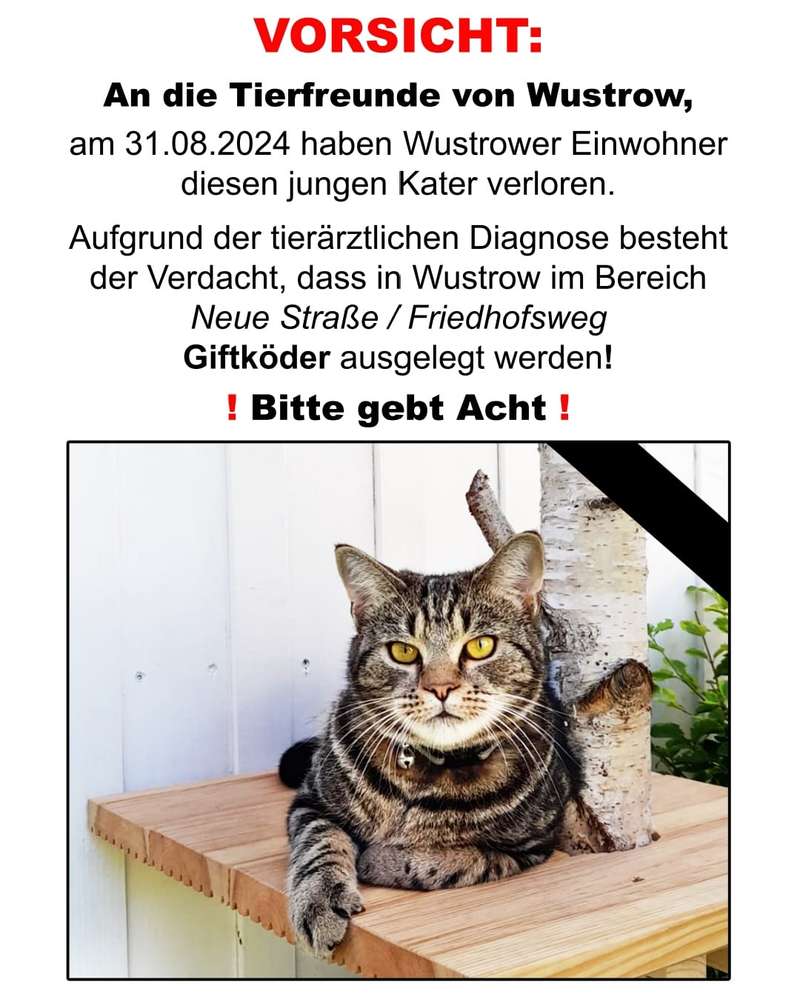 Giftköder-Giftköder-Profilbild