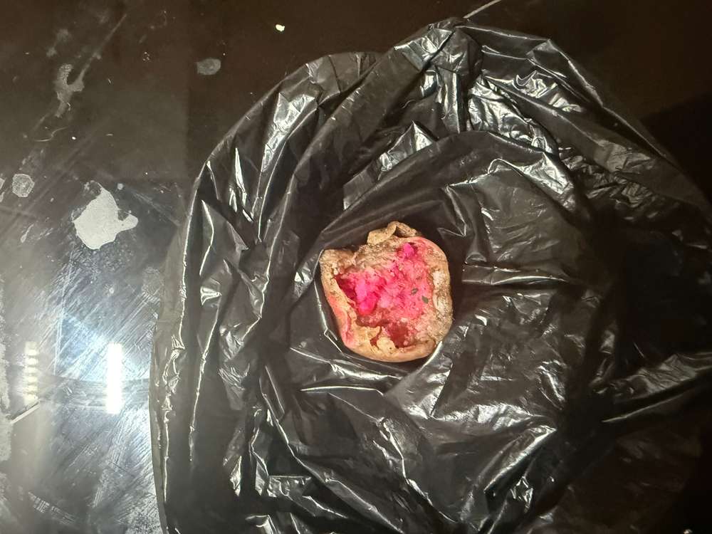 Giftköder-Giftköder -Profilbild